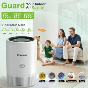 Air Purifier for Small Room